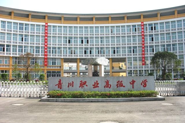 中学项目